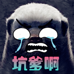 运动?不,这回还真买了辆豪华c级车,动态表现超越奔驰e级