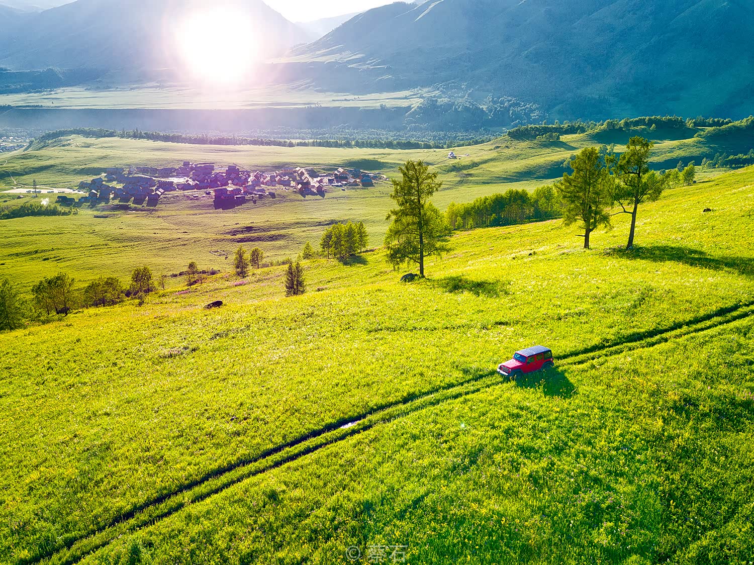 晨雾,白桦林,小木屋,悠闲的牛羊构成了一幅绝美的山水画卷,宛如童话