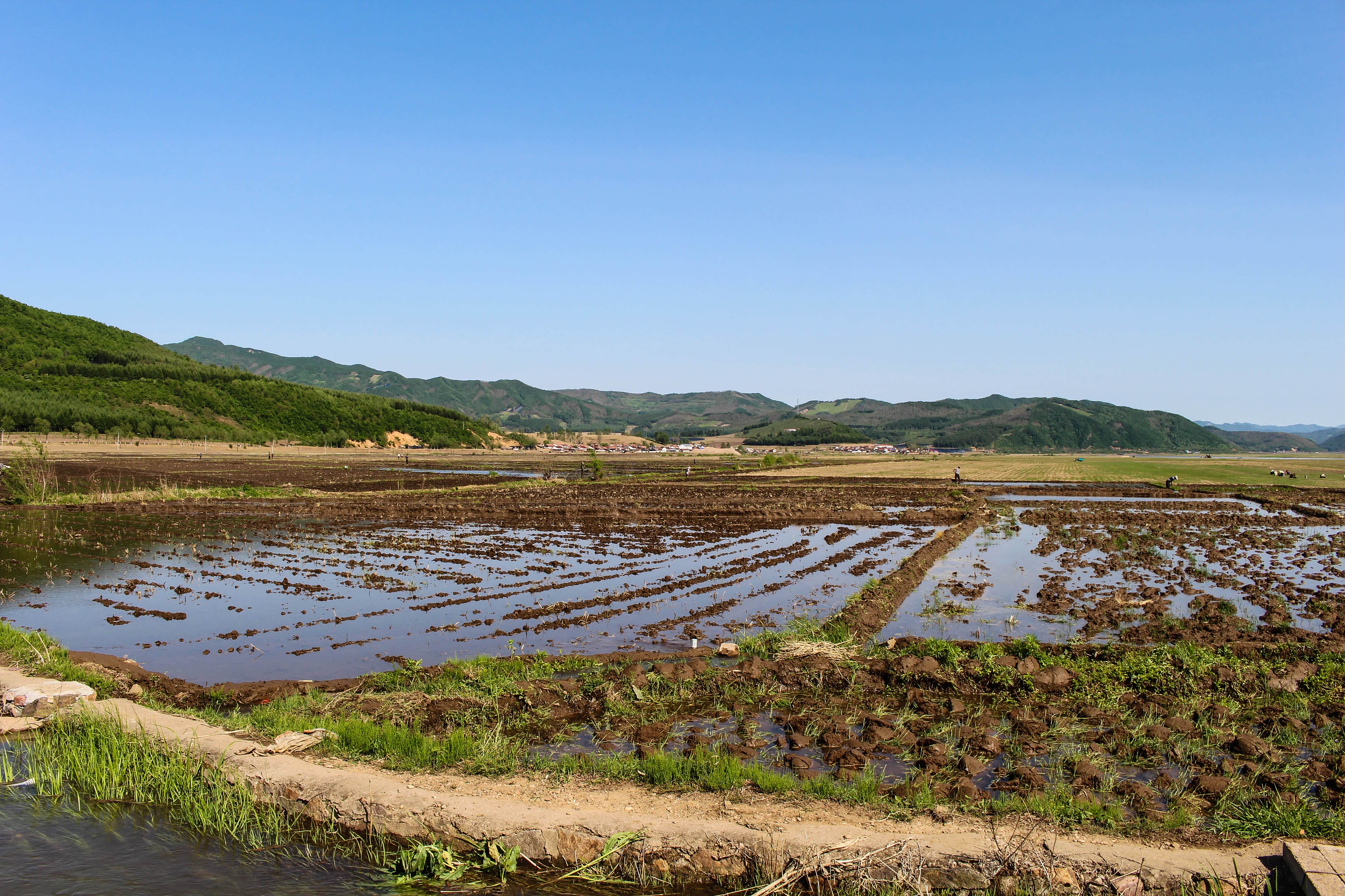 一个人的旅行——带你去看东北农村婚礼