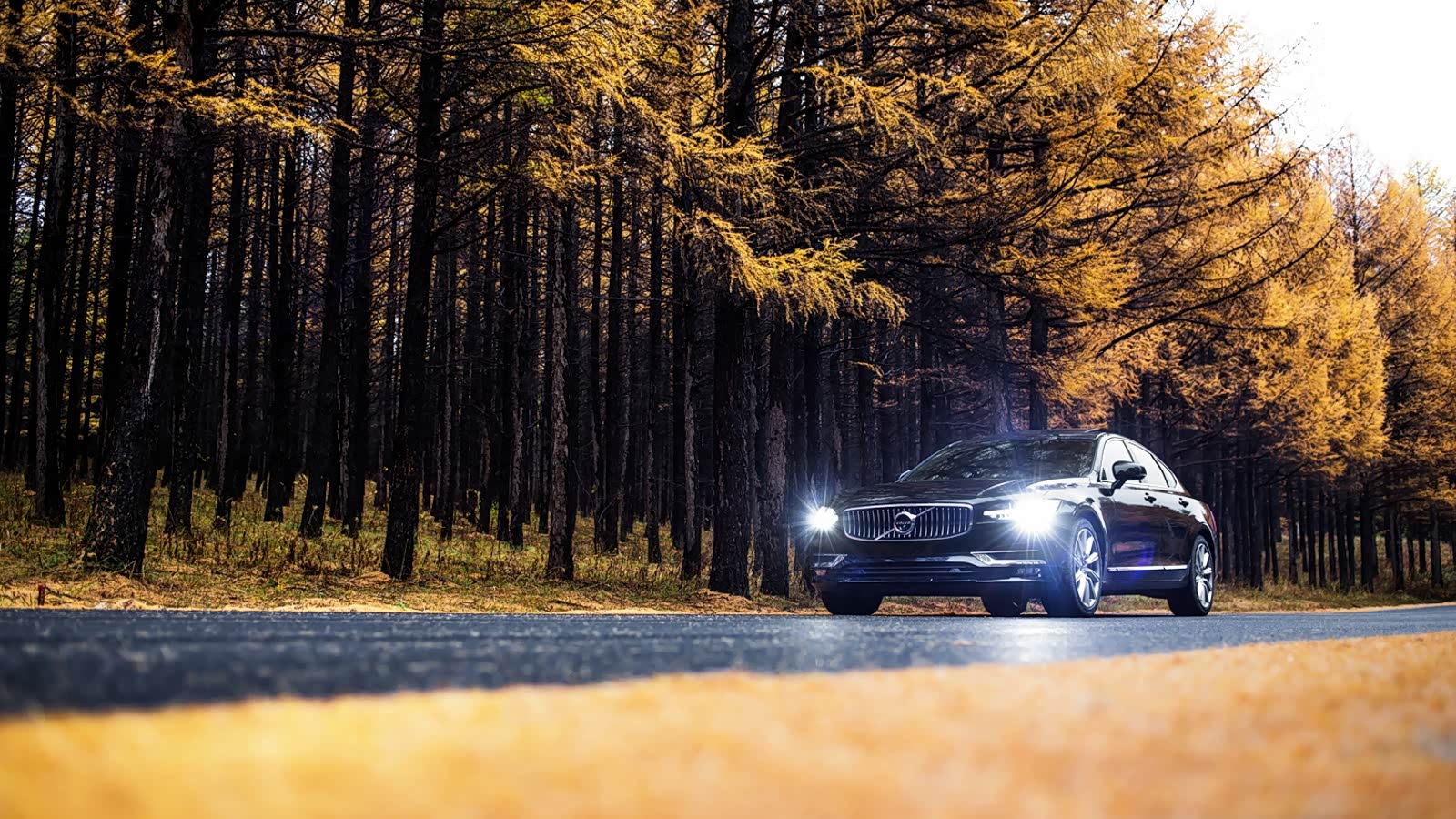 情怀终落地 沃尔沃车主评s90长轴距版