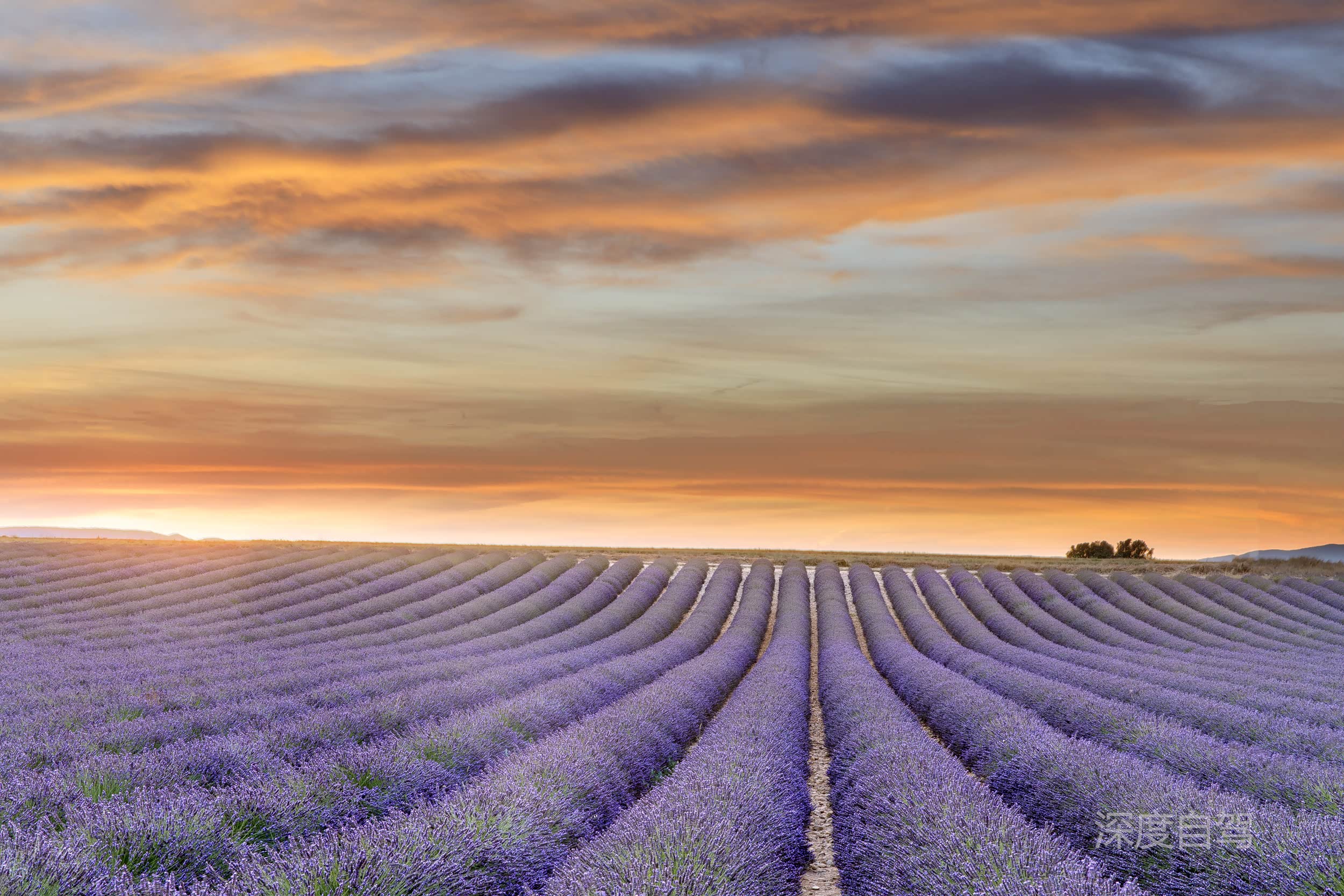 [深度自驾] 途锐欧洲行之普罗旺斯最美花田/蔚蓝海岸的性感阳光